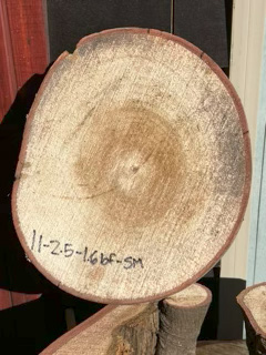 Spalted Maple